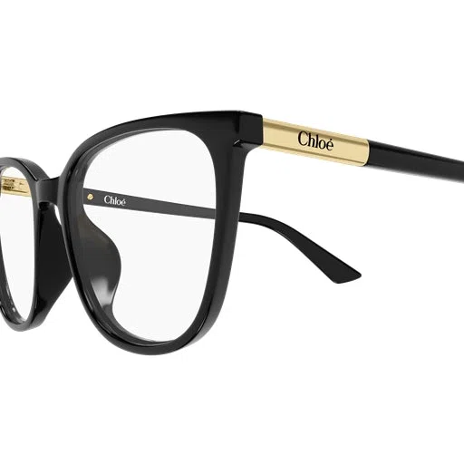 Chloe CH0370OL Eyeglasses - view 21